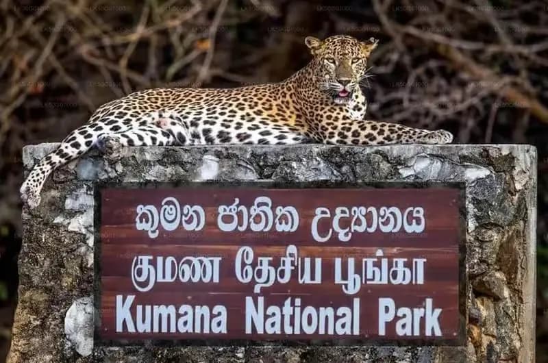 Kumana National Park